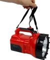 DP Kisan Torch DP-7321