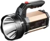 DP Kisan Torch DP-7313