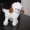 DP Soft Toy Floppy Dog No.2