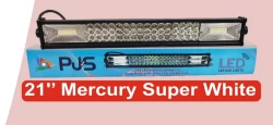 21’ Mercury Super White Lights