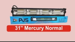 31’ Mercury 2 Cut Lights