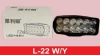 L-22 W/Y Shillon Lights