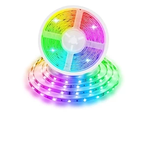 Festival & Decorative Lights