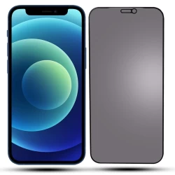 Iphone 12 Mini OG Privacy Glass