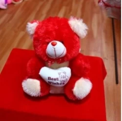 DP Soft Toy Bonda No.1