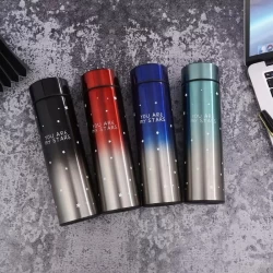 Hot LED Digital Smart Bottle