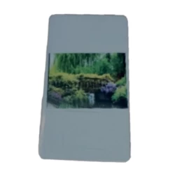 Musical Door Bell Ding Dong 1