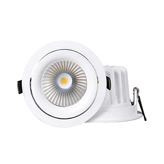 6W DP COB Concel Light
