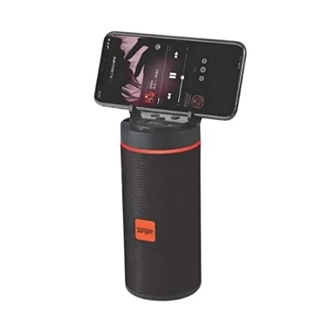 Portable Wireless Speaker (KT-125)