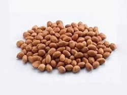 Peanuts(Mungfali)250gm