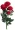 Artificial Rose for Decoration